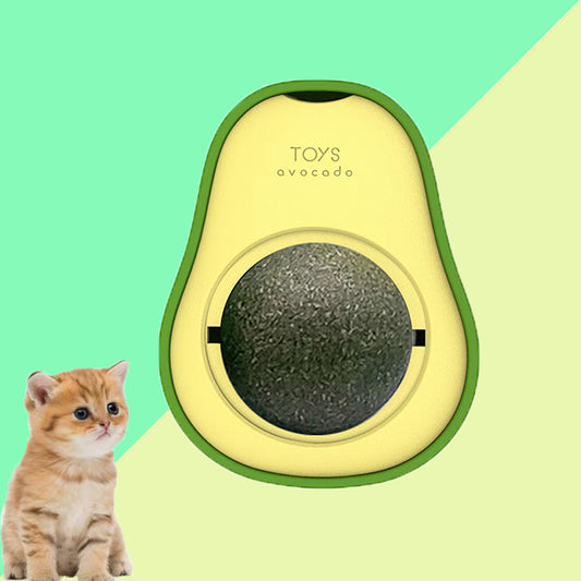 Avocado Catnip Toy For Cats – AICHOUNI STORE