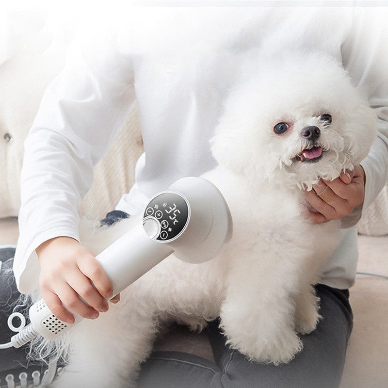 Pet Hair Dryer For Golden Retrievers – AICHOUNI STORE